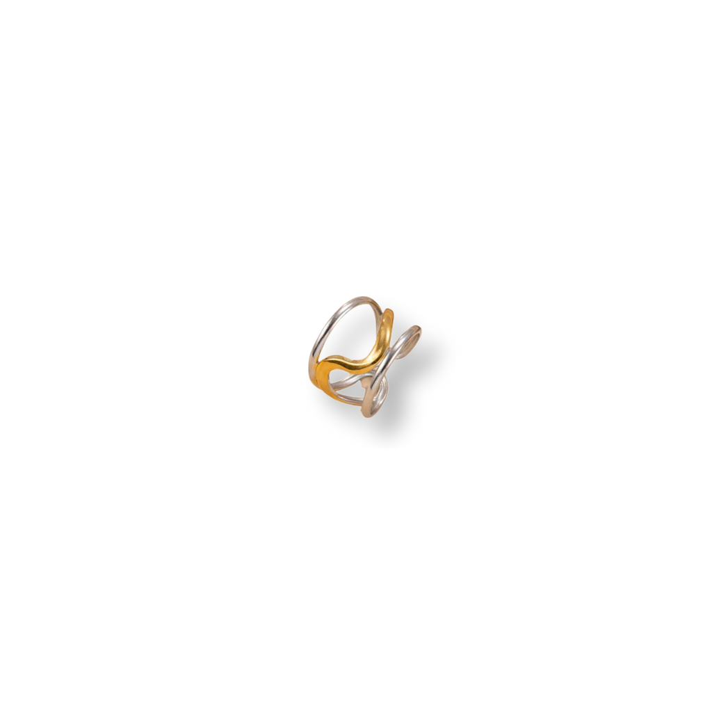 Anillo Fer Mixto
