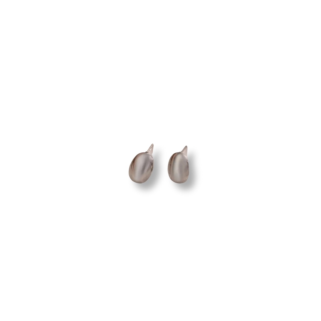 Aretes Dani Plateados