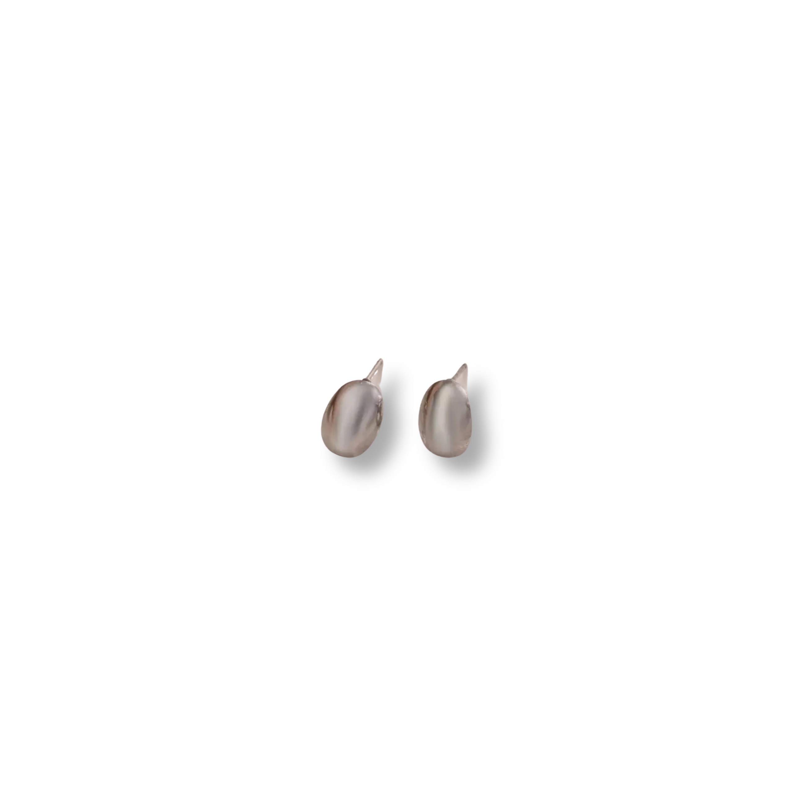 Aretes Dani Plateados