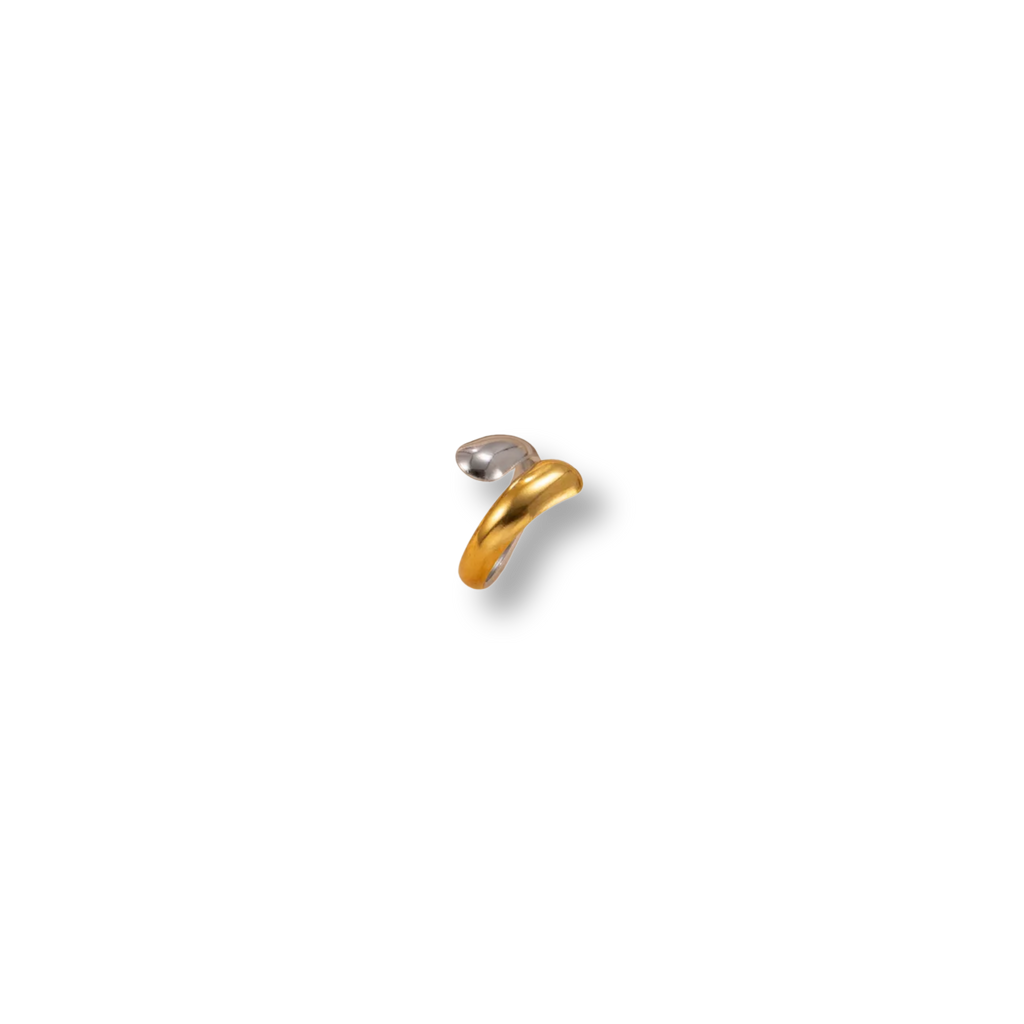Anillo Norma Mixto